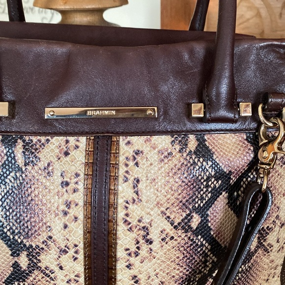 NOT FOR SALE Brahmin Snake Design Handbag - Picture 2 of 15